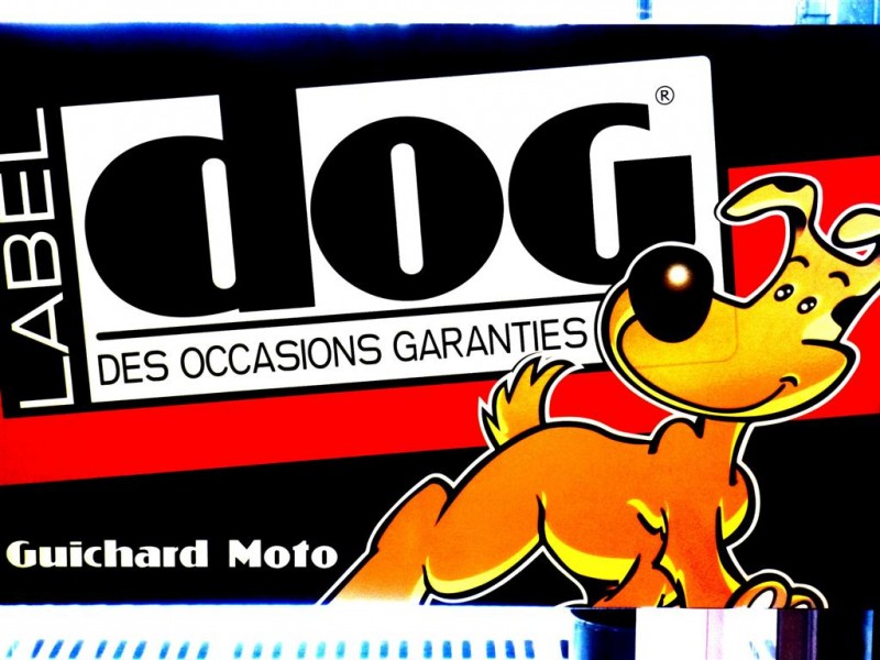 Le Label Dog Guichard moto
