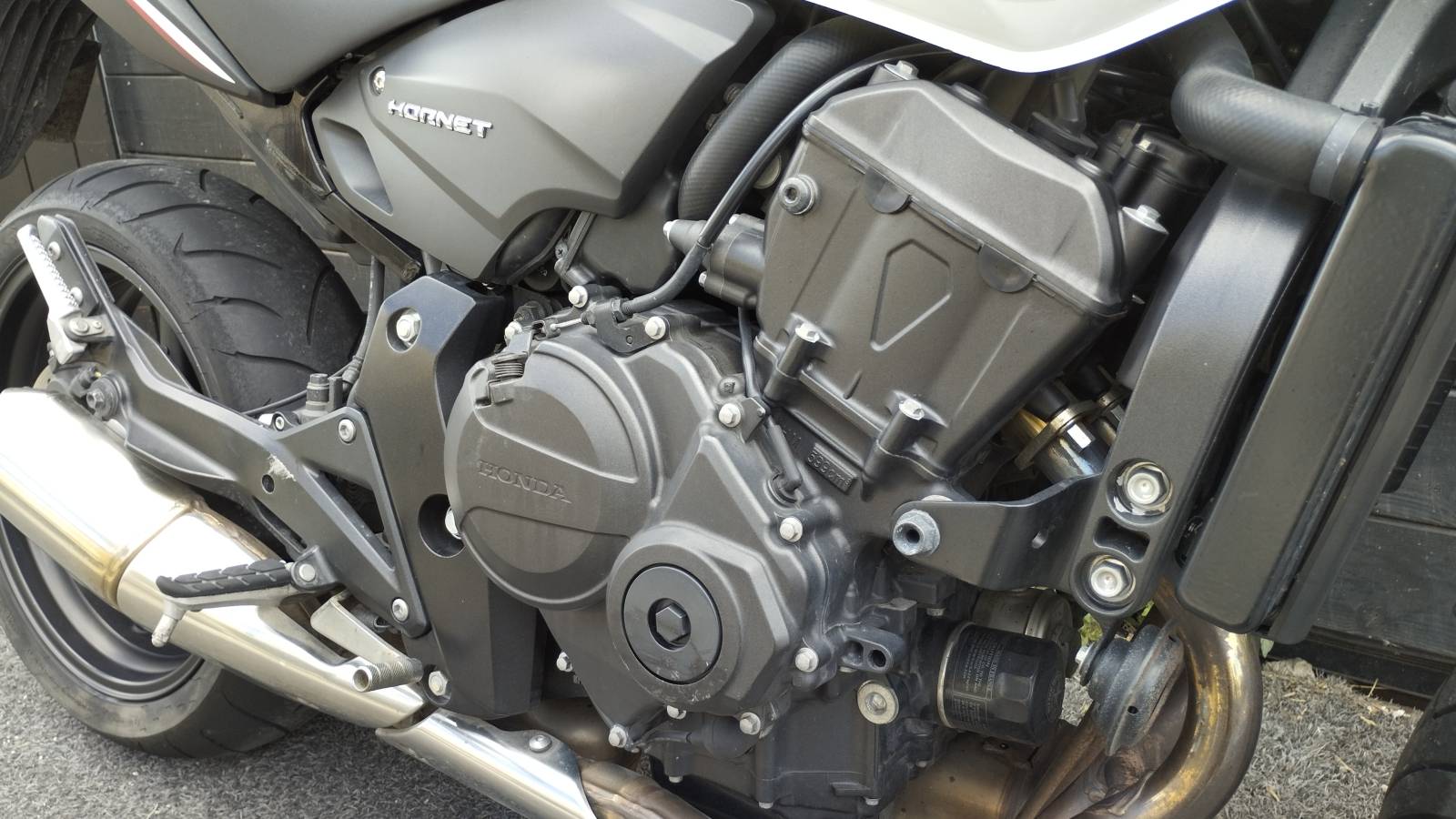 Honda Hornet occasion Montpellier Hérault