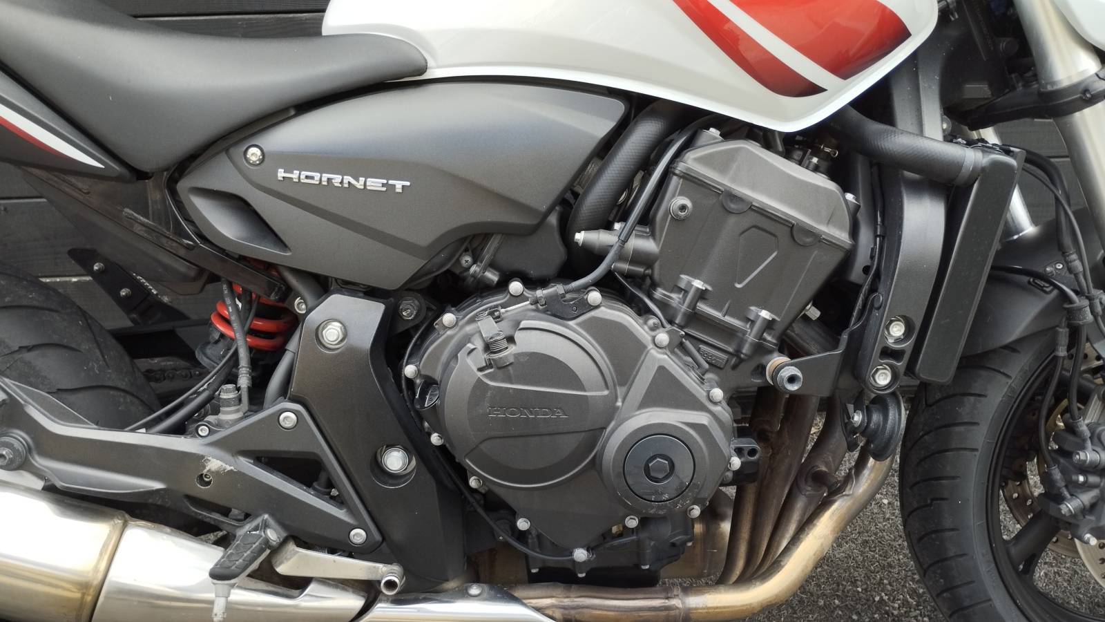 Honda Hornet occasion Montpellier Hérault