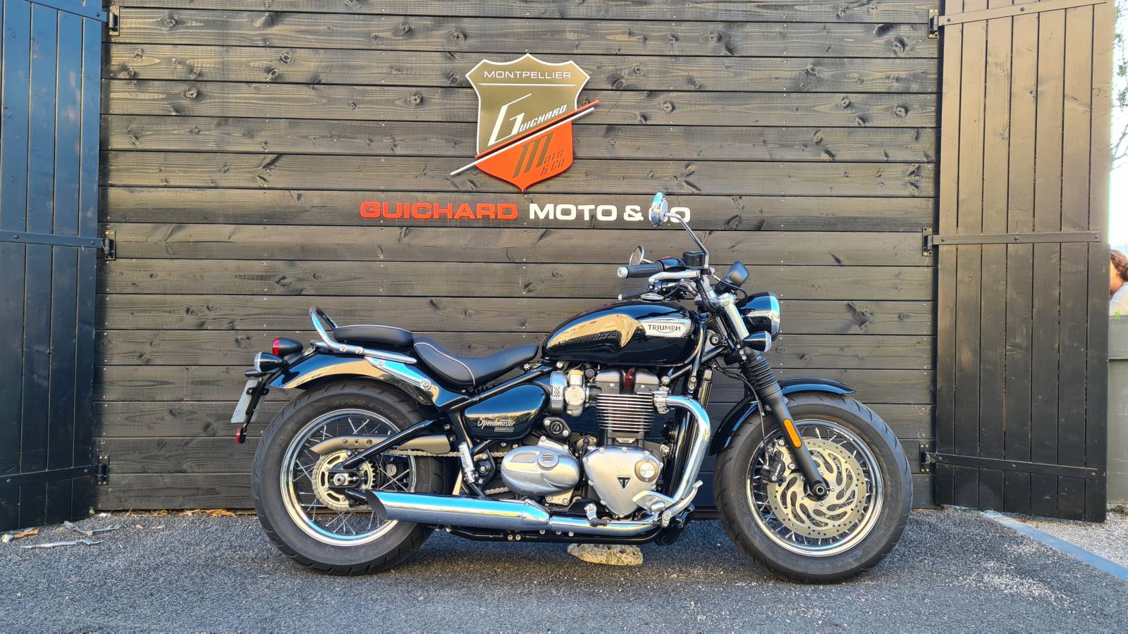 Triumph Speedmaster 1200 occasion Montpellier Hérault