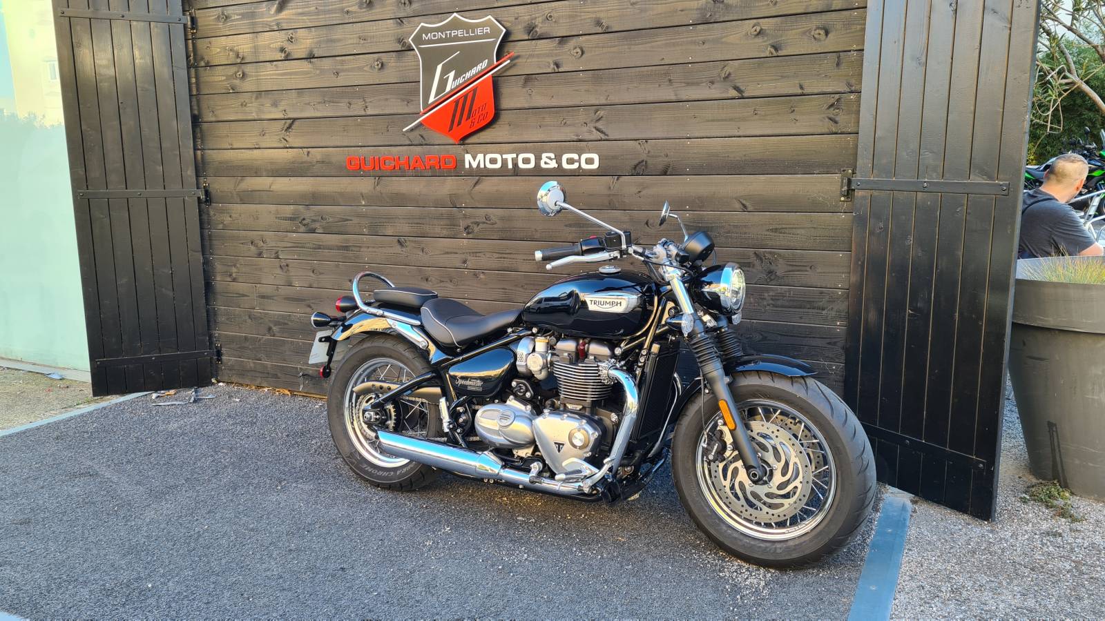 Triumph Speedmaster 1200 occasion Montpellier Hérault