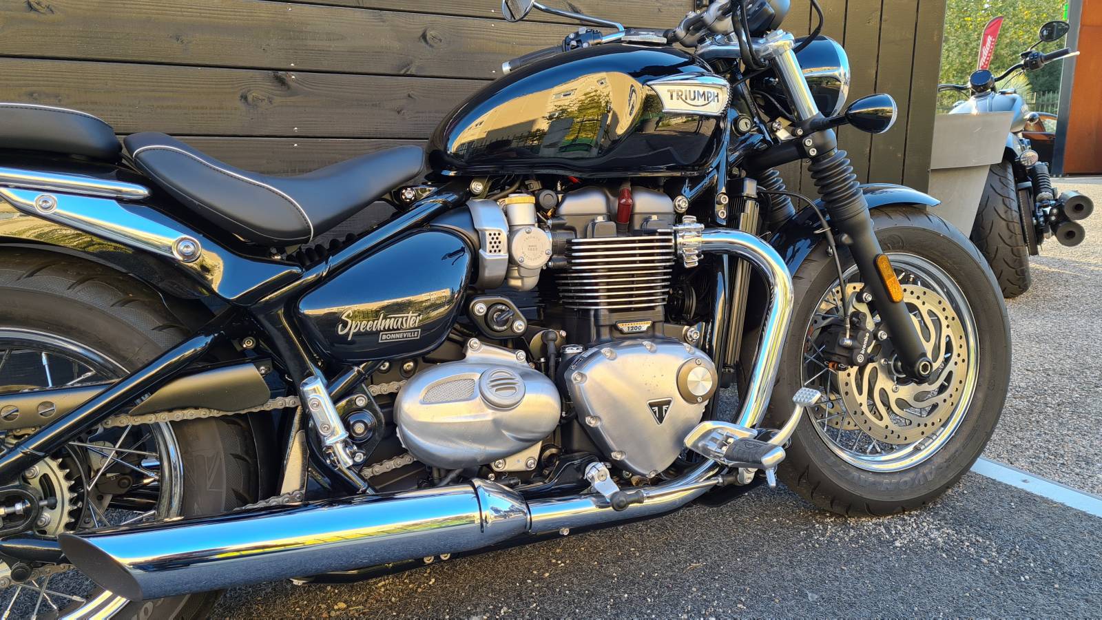 Triumph Speedmaster 1200 occasion Montpellier Hérault