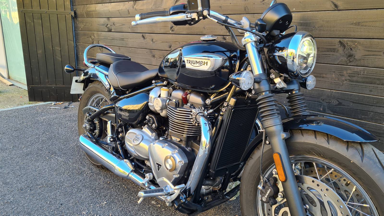 Triumph Speedmaster 1200 occasion Montpellier Hérault