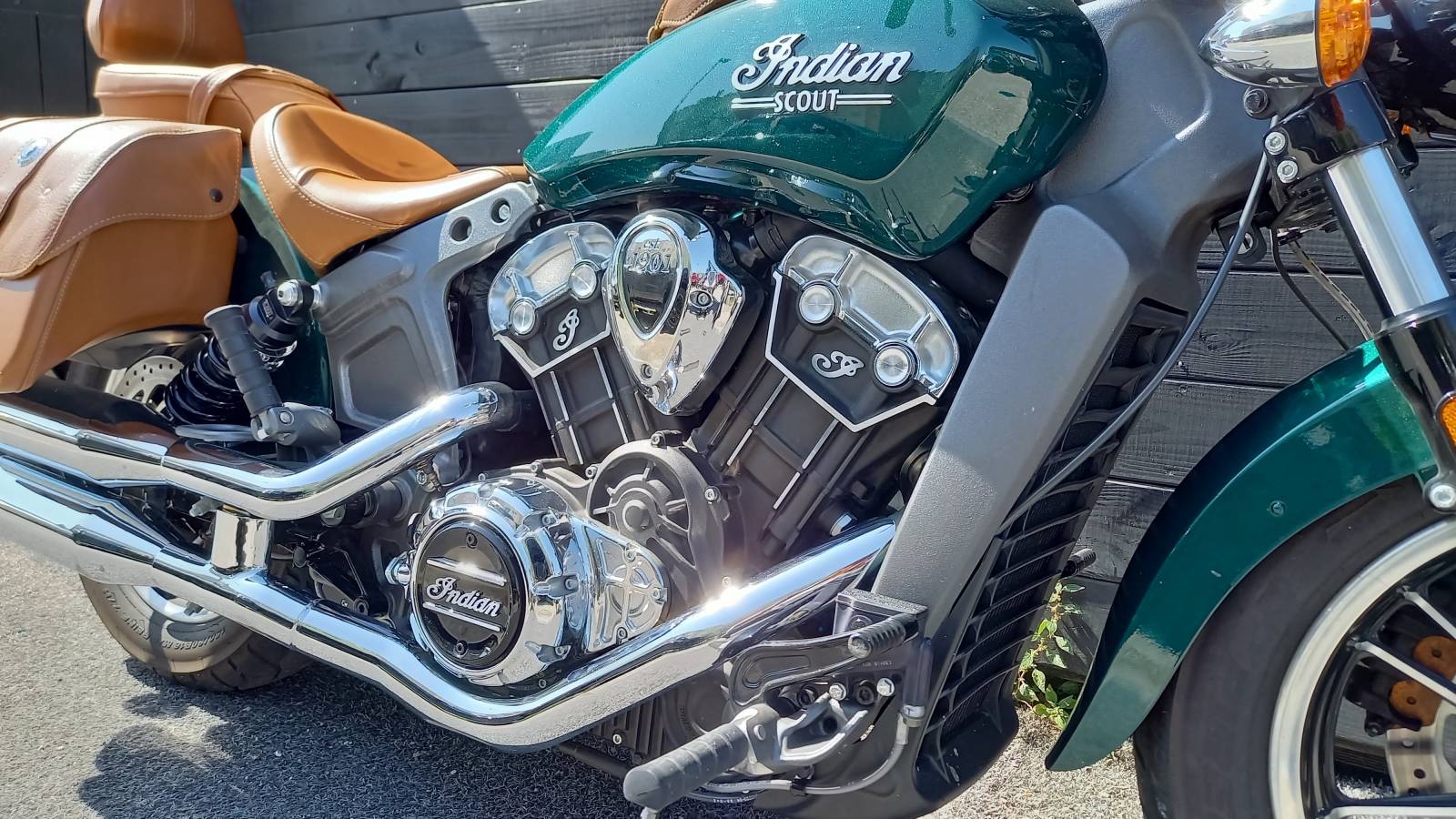 Indian Scout Metallic Jade occasion Montpellier Hérault