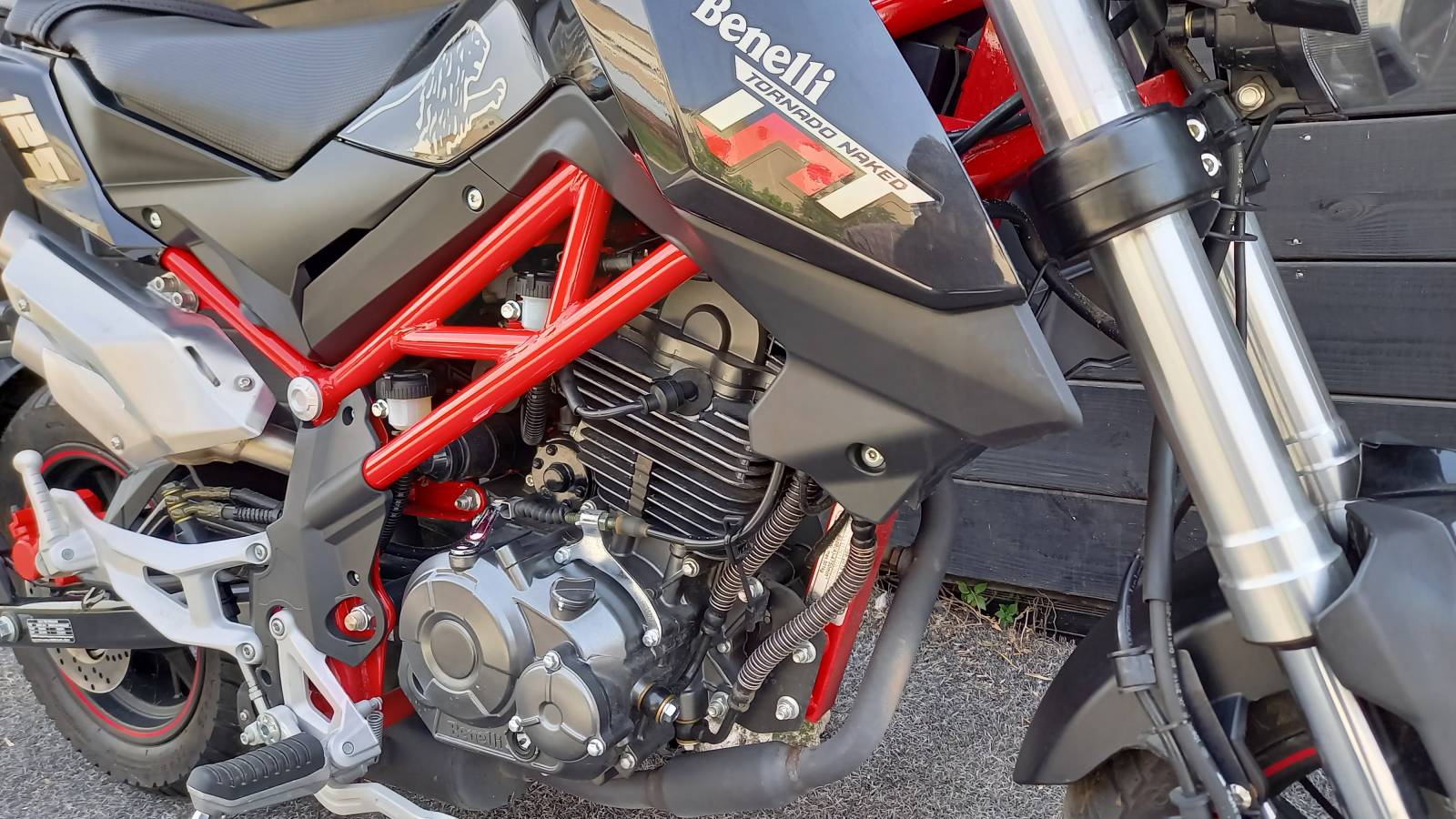 Benelli Tornado 125 occasion Montpellier Hérault