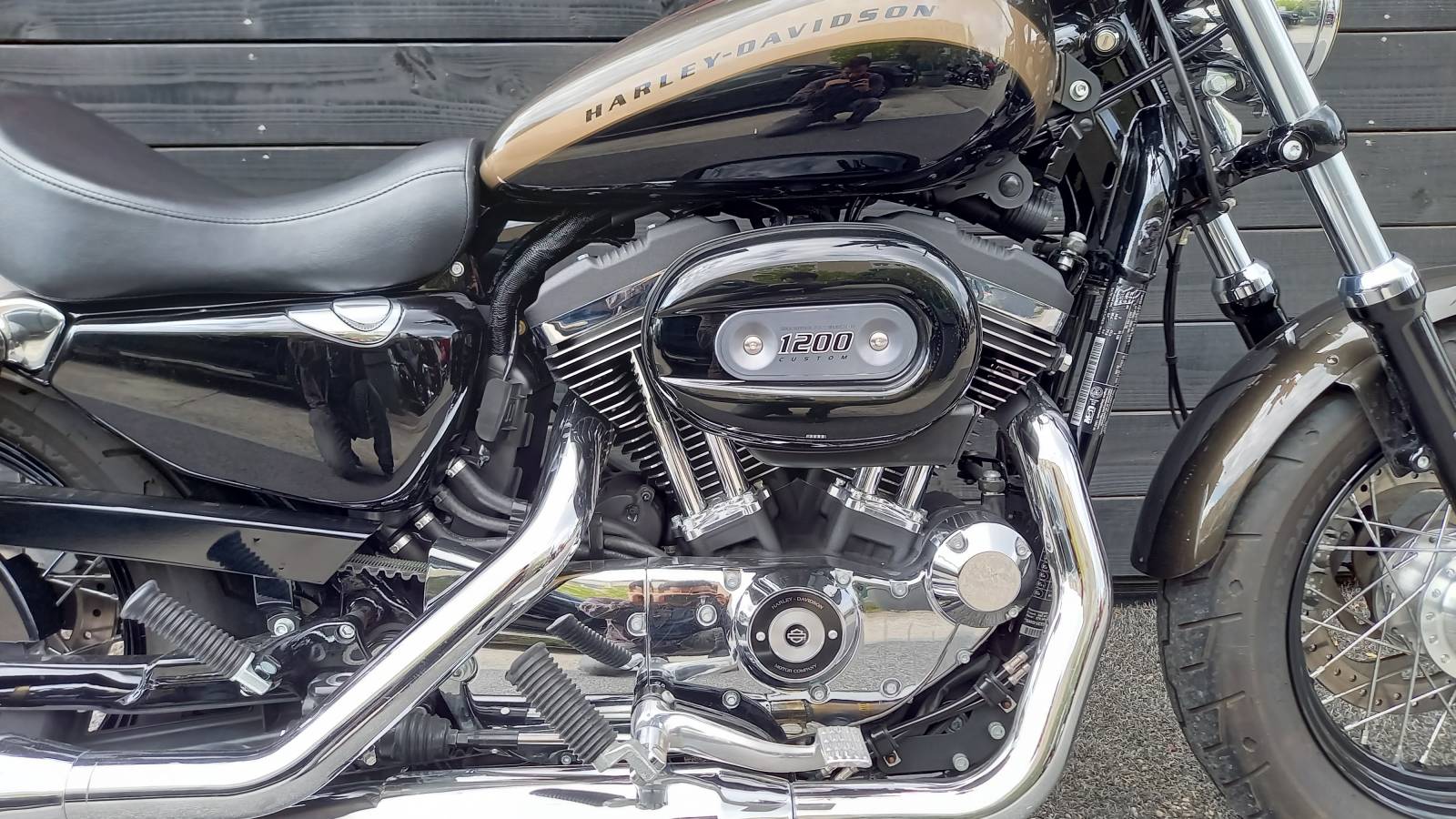 Harley Davidson XL 1200 C Sportster occasion Montpellier Hérault