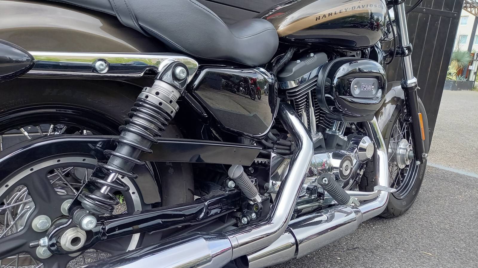 Harley Davidson XL 1200 C Sportster occasion Montpellier Hérault