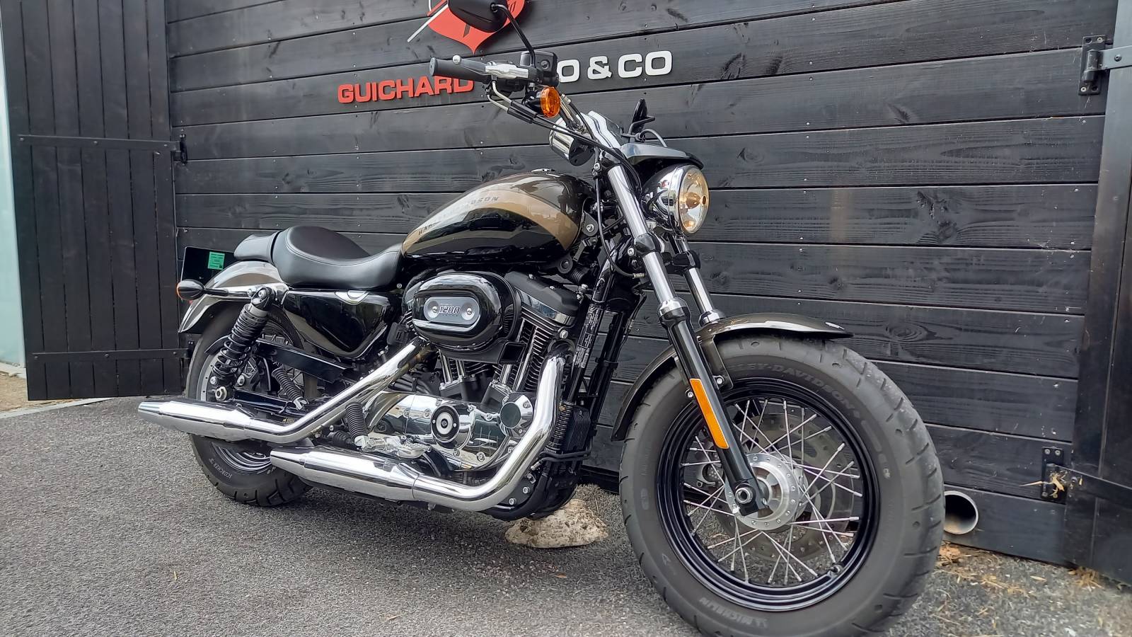Harley Davidson XL 1200 C Sportster occasion Montpellier Hérault