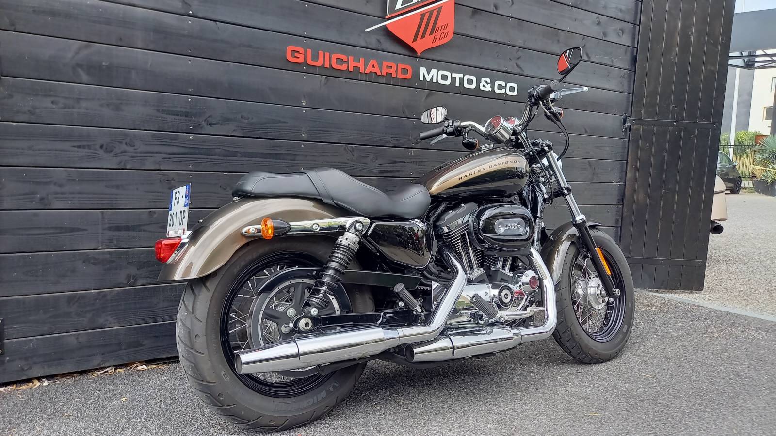 Harley Davidson XL 1200 C Sportster occasion Montpellier Hérault