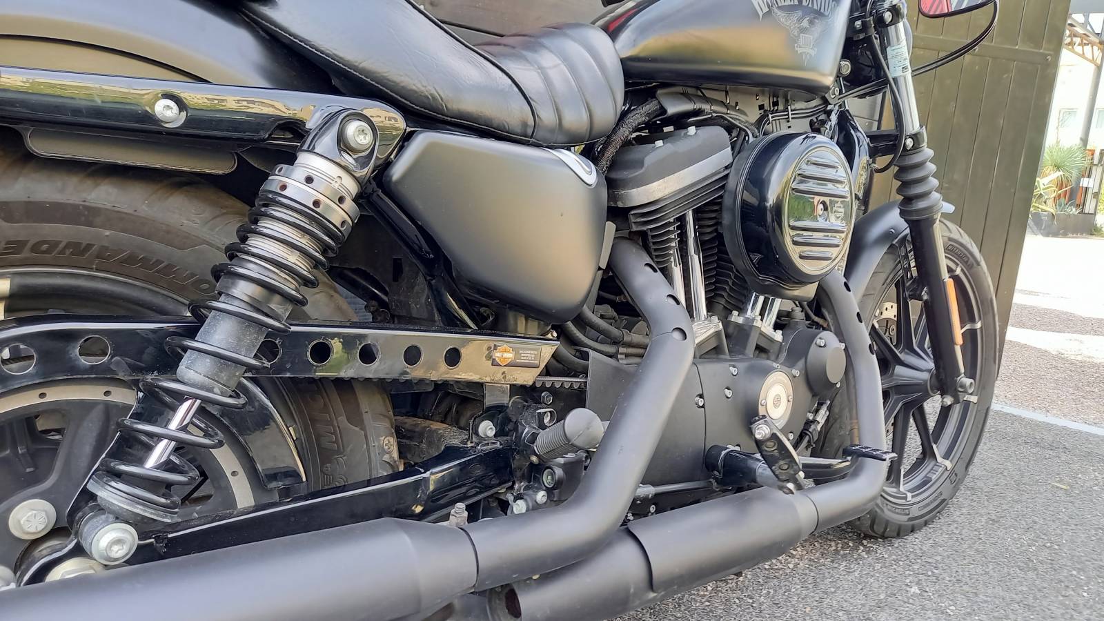 Harley Davidson XL 883 N occasion Montpellier Hérault