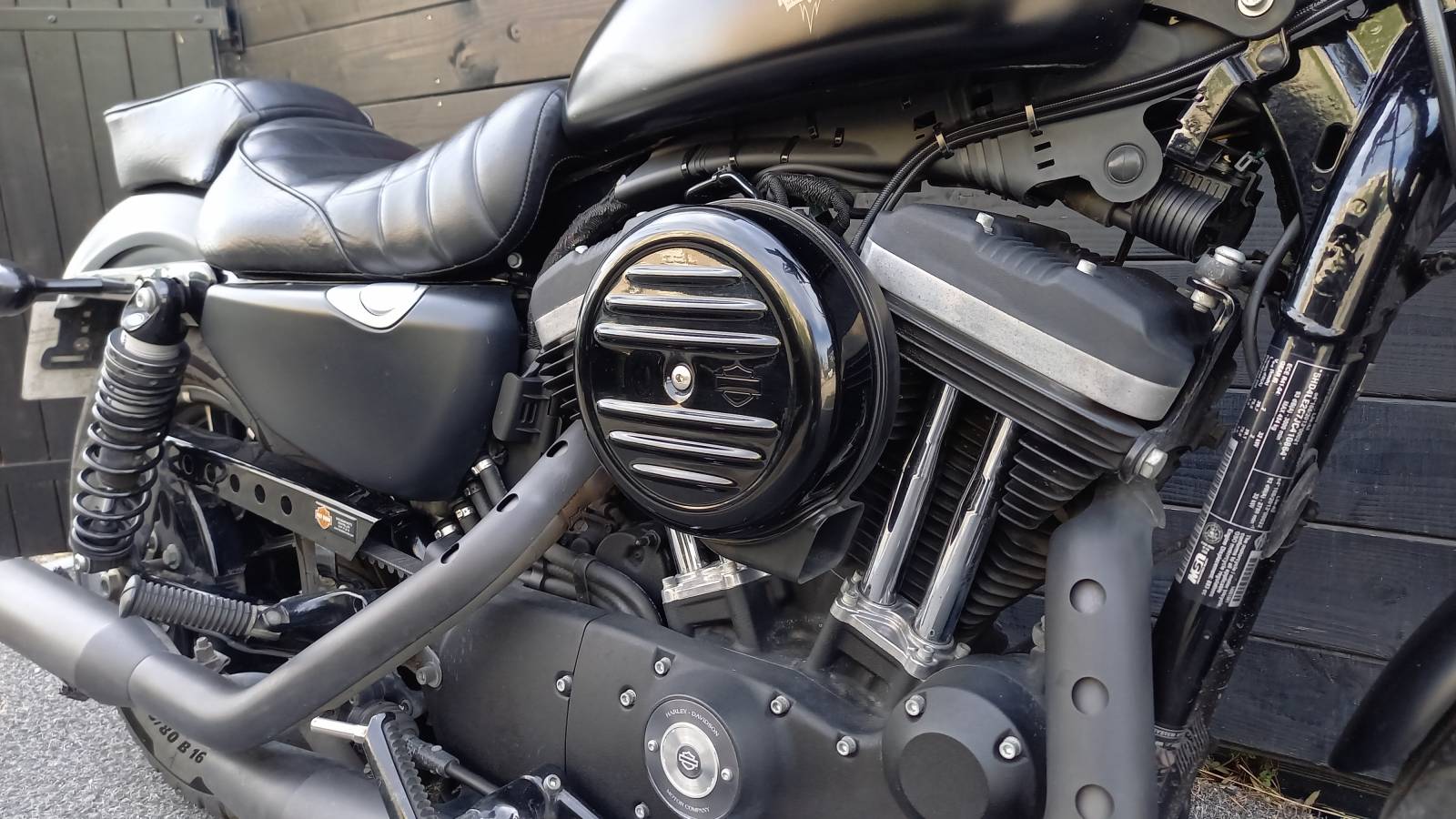 Harley Davidson XL 883 N occasion Montpellier Hérault