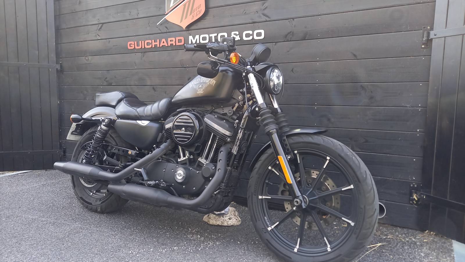 Harley Davidson XL 883 N occasion Montpellier Hérault