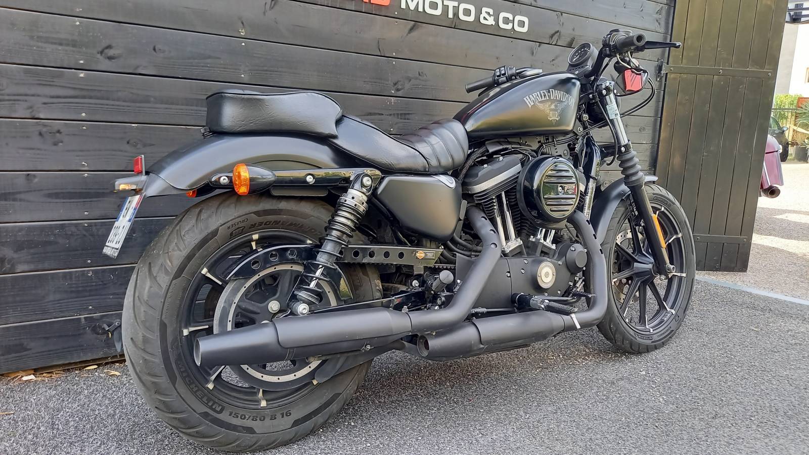 Harley Davidson XL 883 N occasion Montpellier Hérault