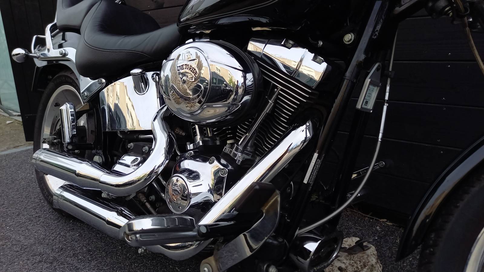 Harley Davidson FXS Softail Custom occasion Montpellier Hérault