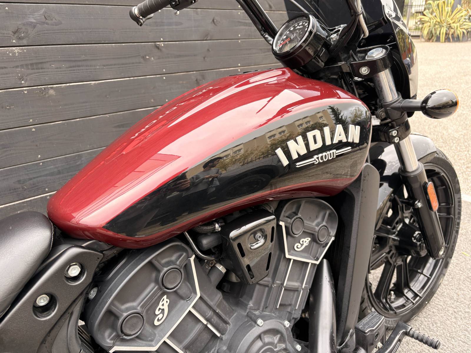Indian Scout Rogue occasion Montpellier Hérault