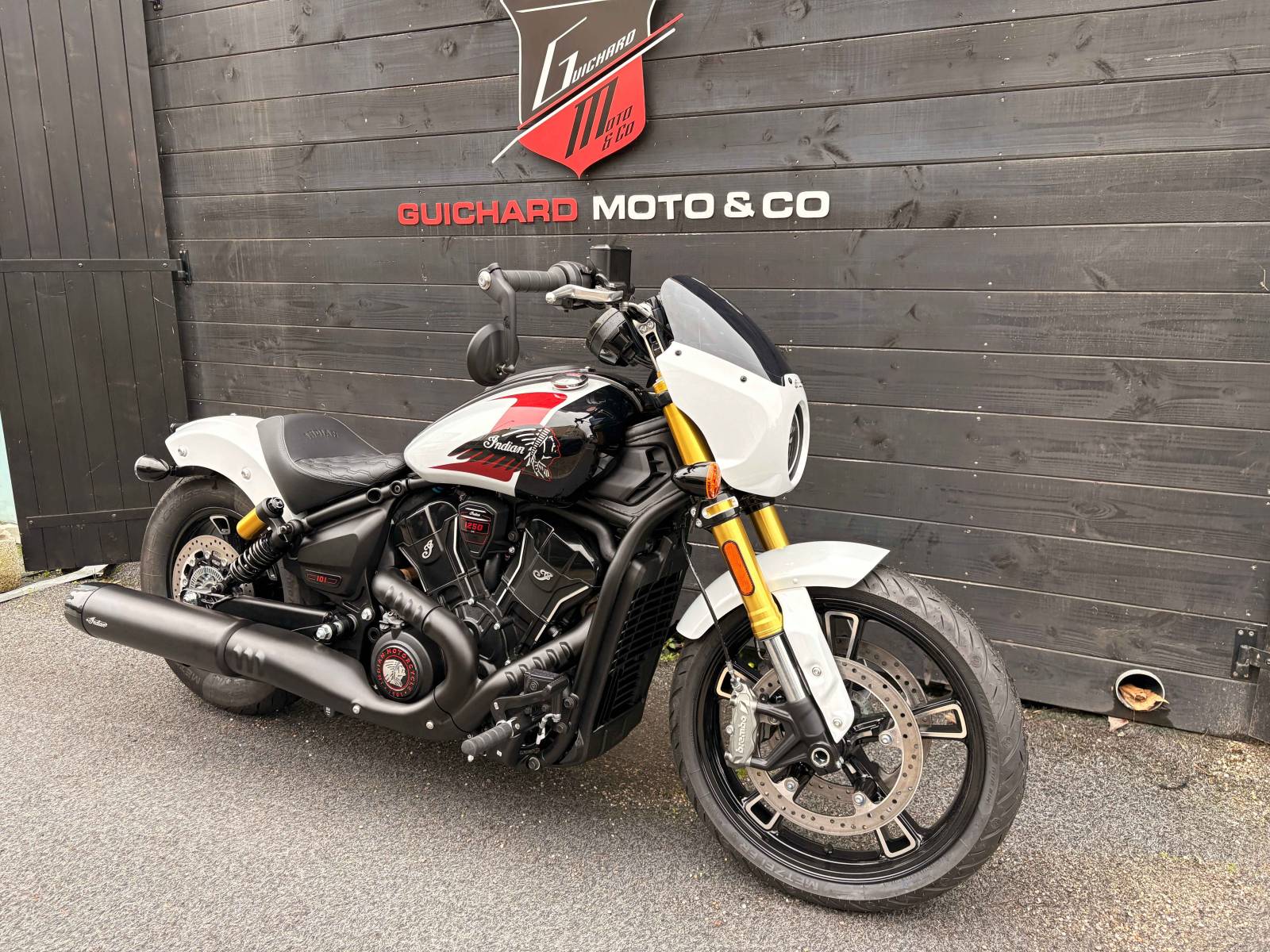 Indian 101 SCOUT - 2025 - Ghost White