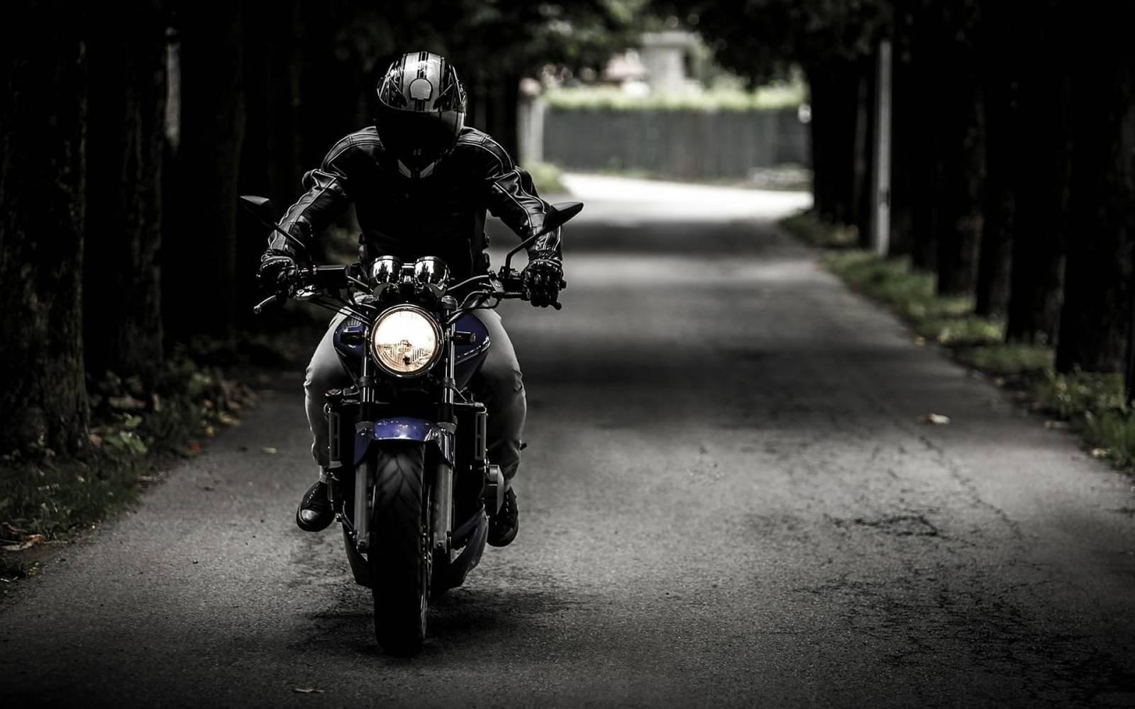 Guichard Moto Occasion : 40 ans expert moto d'occasion en Occitanie (Montpellier, Nîmes, Toulouse, Perpignan, Carcassonne...) et Drôme (Valence, Montélimar). Achat, vente, reprise, financement, garantie 12 mois. Kawasaki, Indian, Zero, BMW, Triumph, Harle