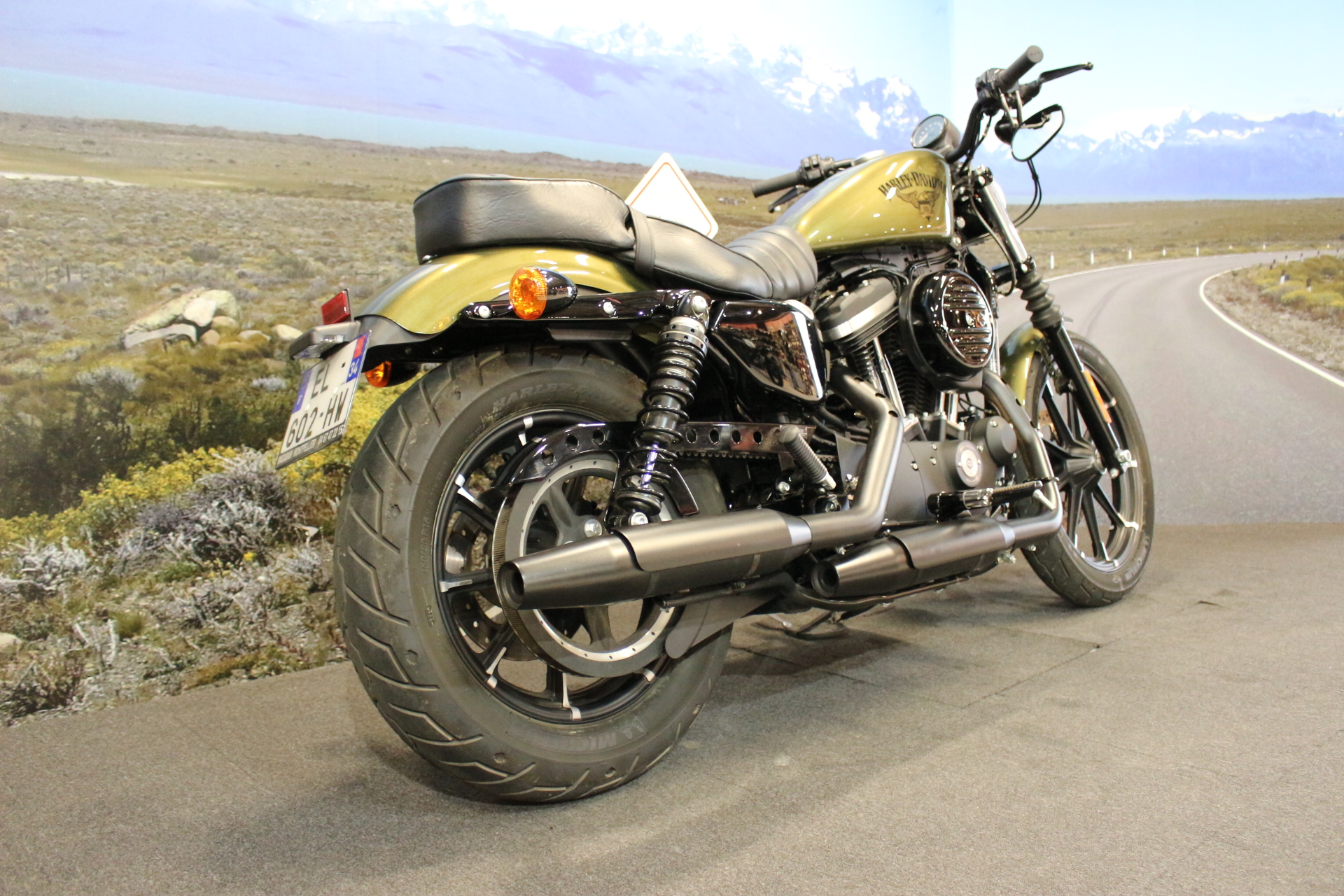 HARLEY DAVIDSON IRON 2017 OCCASION