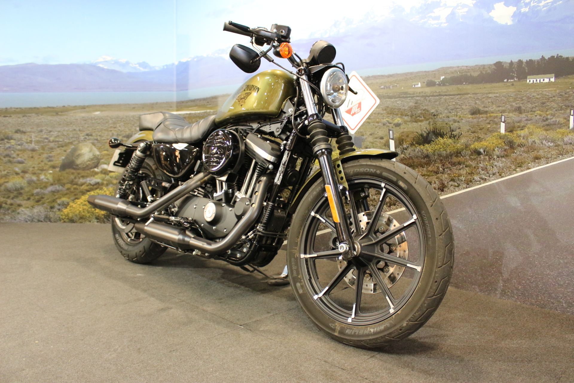 HARLEY DAVIDSON IRON 2017 OCCASION