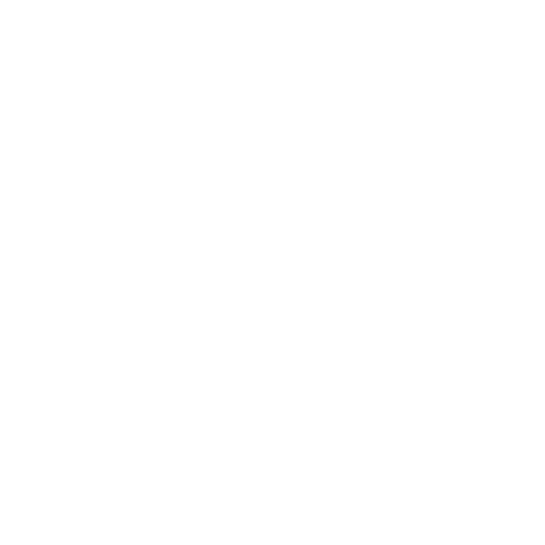 Riderskin : Born for speed, Cut for Legends