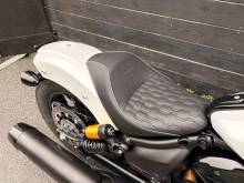 Indian 101 SCOUT - 2025 - Ghost White