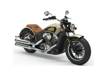 Les Nouveautés 2020